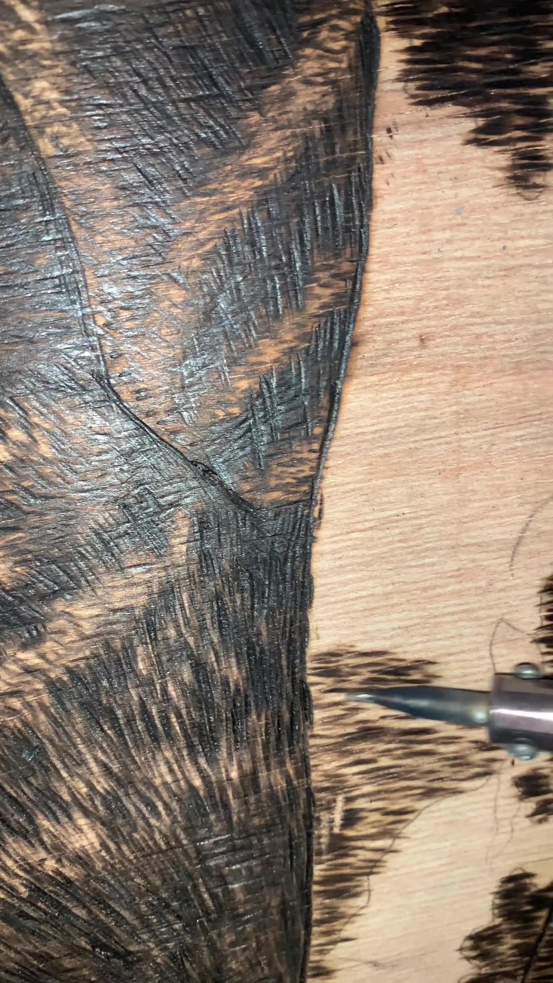 Son of the Ground thumbnail